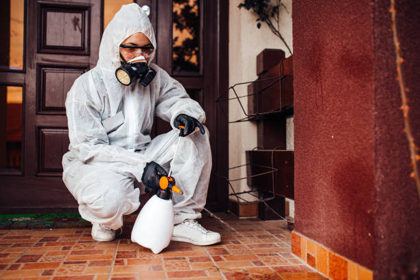 Reliable Cockroach Control contractor in Arma, KS by Nex Pest Control